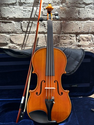 Paragon muzic store viola - muzic,